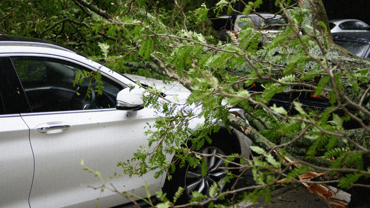 Comment D Poser Une Demande D Indemnisation Aupr S De L Assurance Au Tiers D Une Voiture